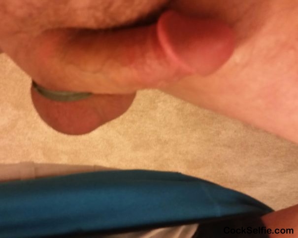 Pick your pleasure. - Cock Selfie