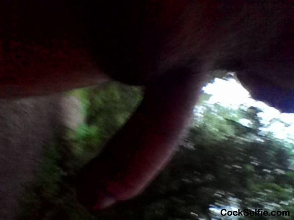 Nature . - Cock Selfie