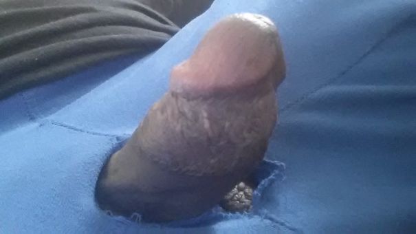  - Cock Selfie