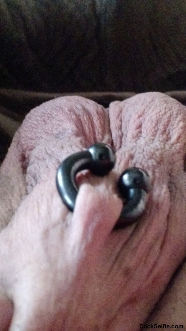 Pierced sack - Cock Selfie