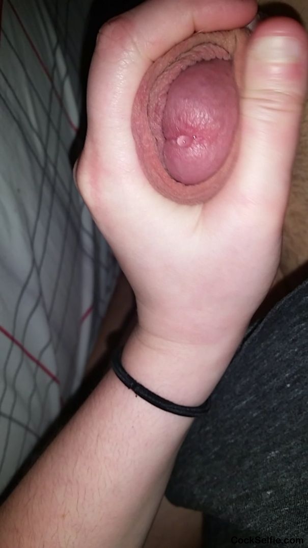 Lick me clean - Cock Selfie