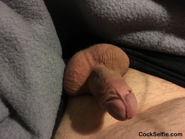 Hot or not ? - Cock Selfie