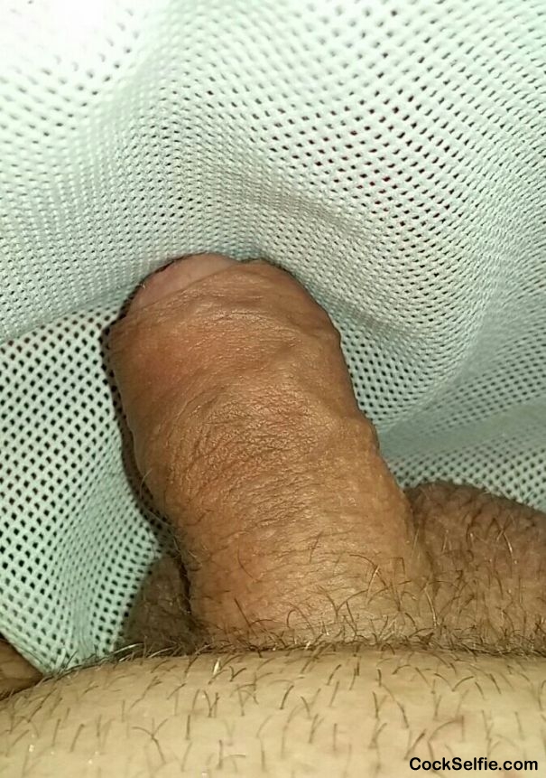 Like a fish in the net - Cock Selfie