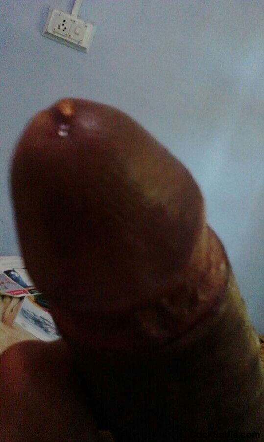 Indian Dick - Cock Selfie