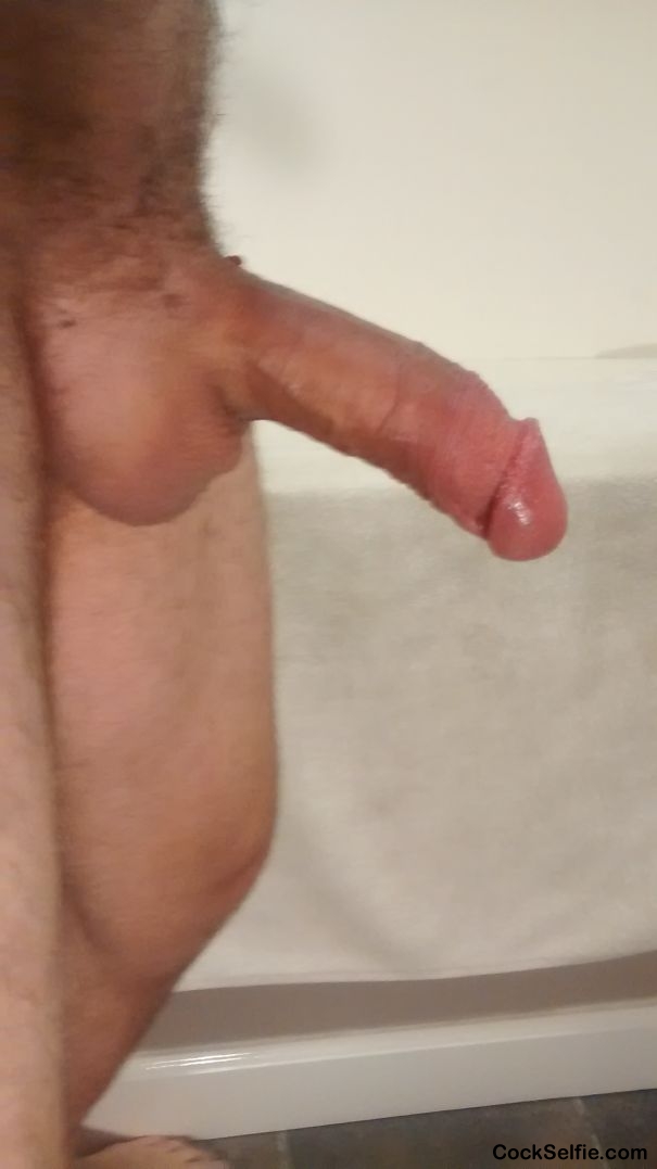 Will you suck my cock - Cock Selfie