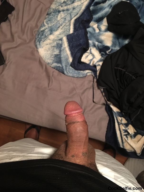 thick cock with huge balls - Cock Selfie