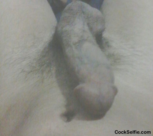  - Cock Selfie