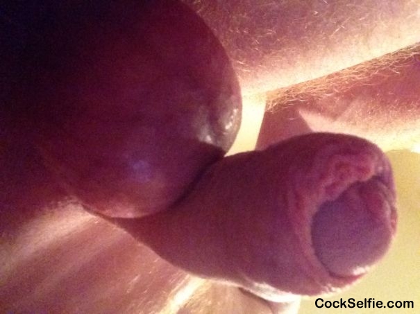 What do u think - Cock Selfie