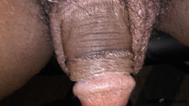  - Cock Selfie