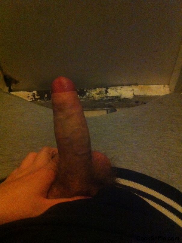 Anyone like - Cock Selfie