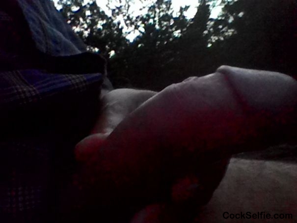  - Cock Selfie