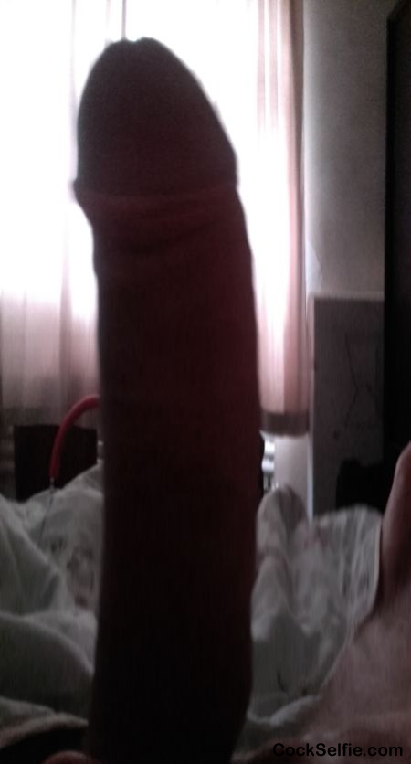 Good morning! - Cock Selfie