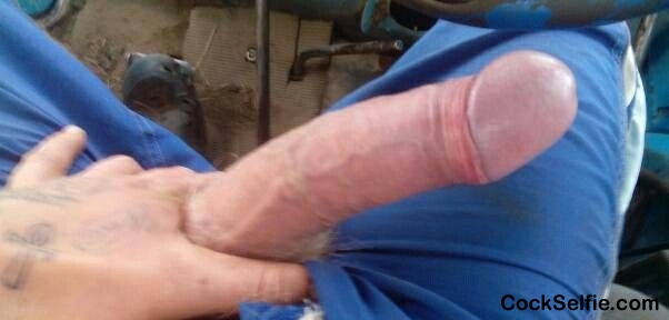 20cm - Cock Selfie