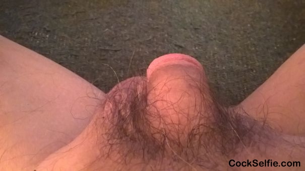 my little dick - Cock Selfie