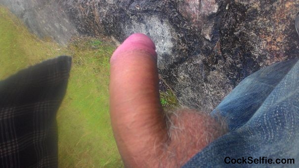  - Cock Selfie