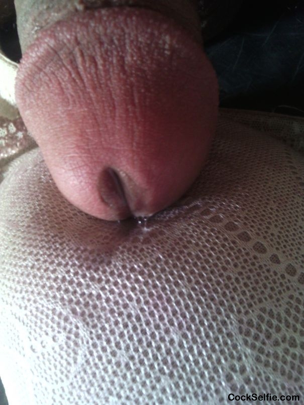 my precum for my aunt!!! - Cock Selfie