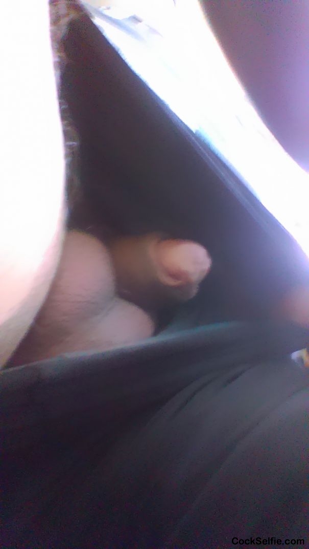 I took this pic while sitting in traffic ;) - Cock Selfie