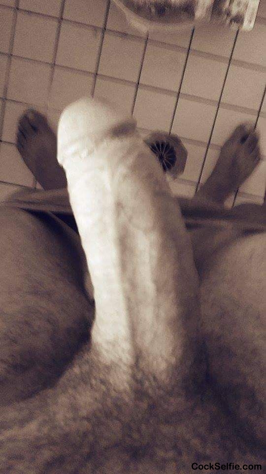  - Cock Selfie