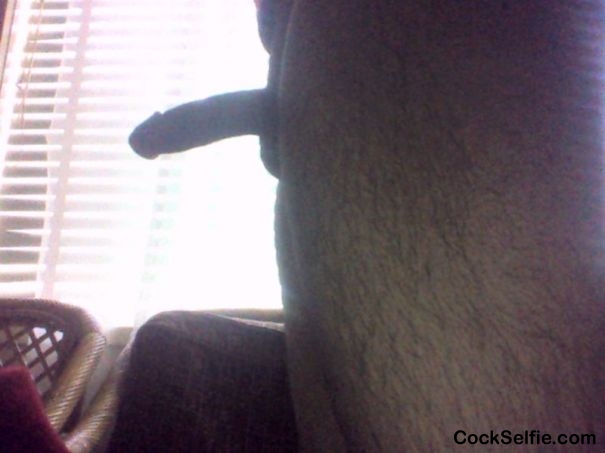 like what you see - Cock Selfie