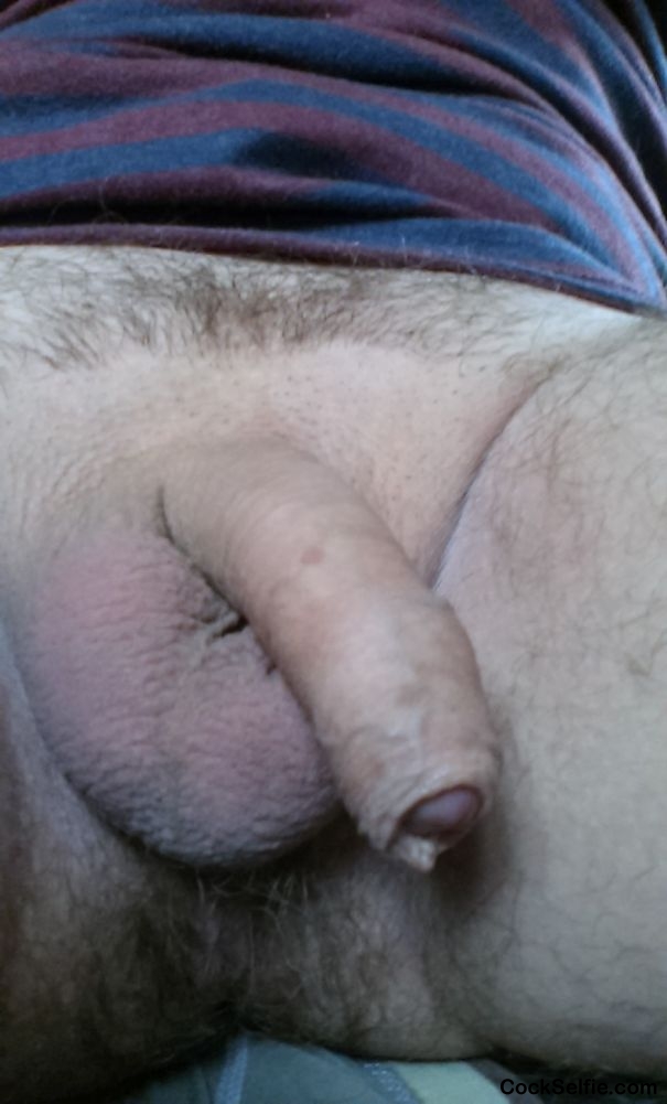  - Cock Selfie