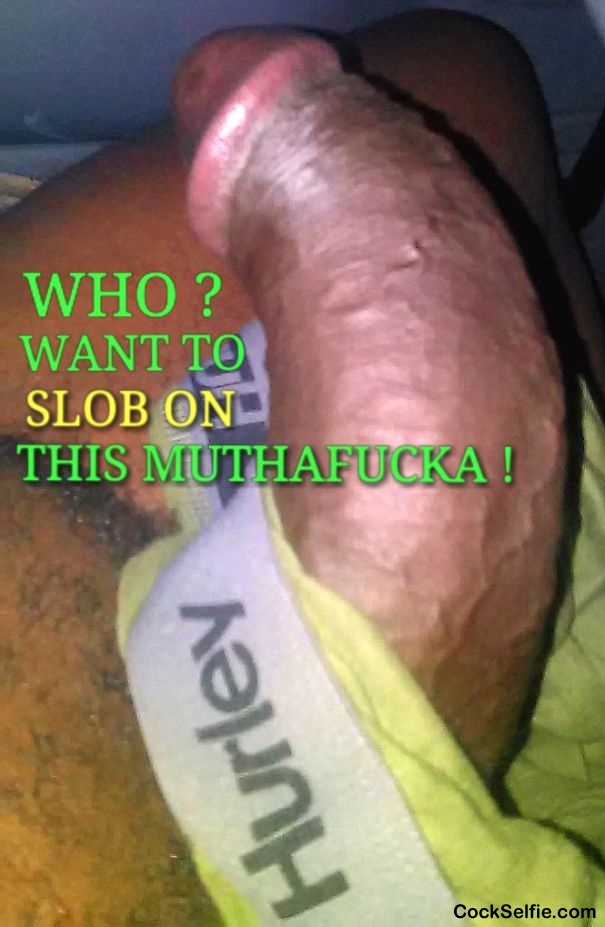 wHO? WANT TO SLOB ON THIS MUTHAFUCKA ! - Cock Selfie