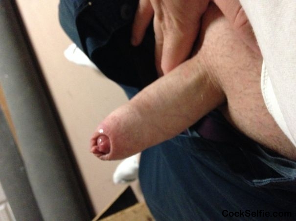 My dick - Cock Selfie