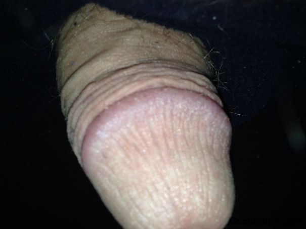  - Cock Selfie