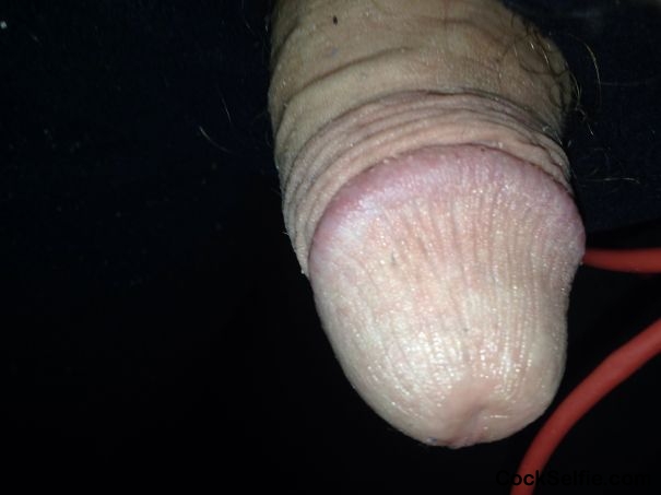 Busting Out on my pants - Cock Selfie