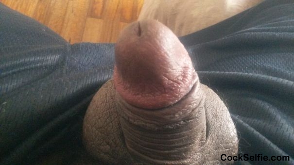  - Cock Selfie