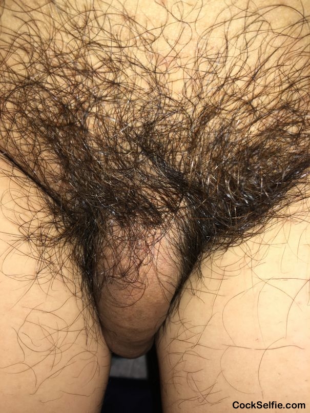  - Cock Selfie