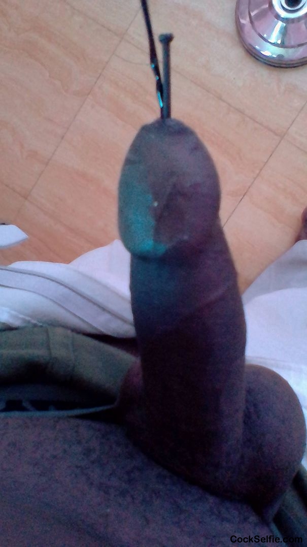 Insertion images - Cock Selfie