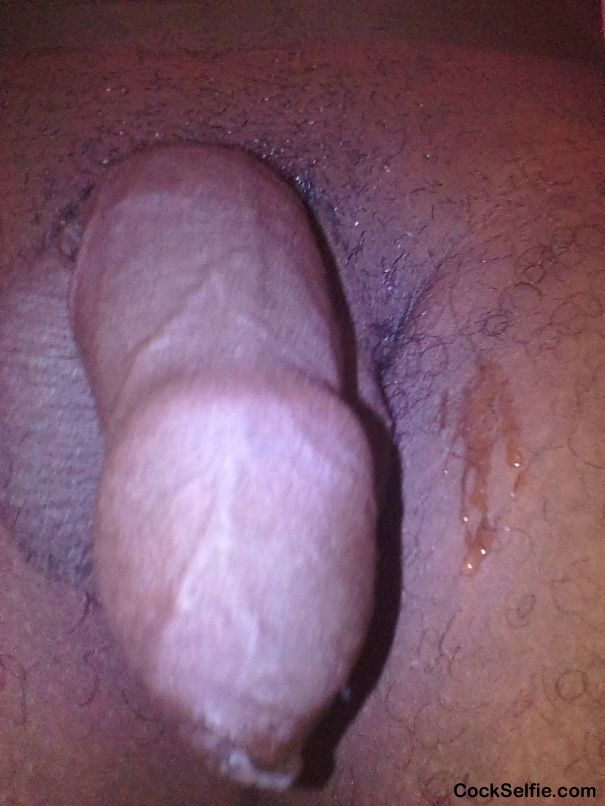 Cock selfie image - Cock Selfie