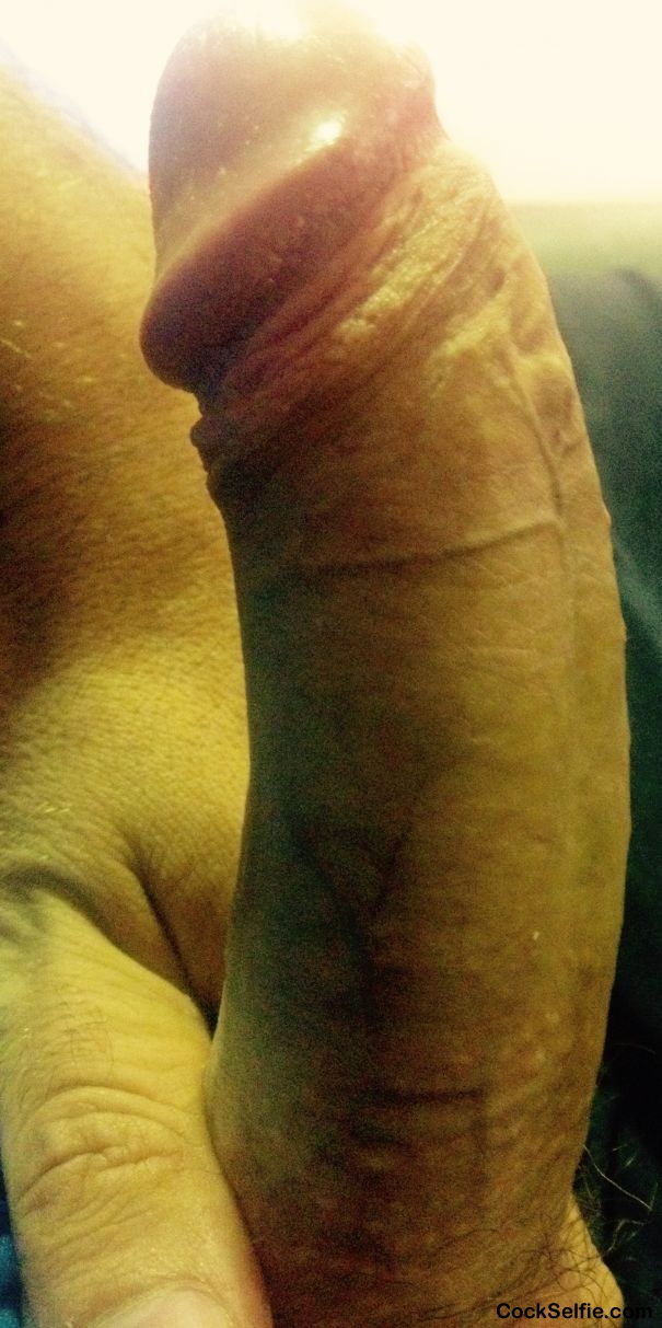 Please comment - Cock Selfie