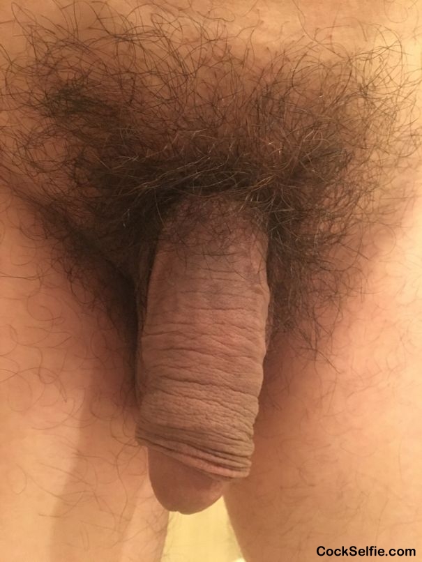  - Cock Selfie