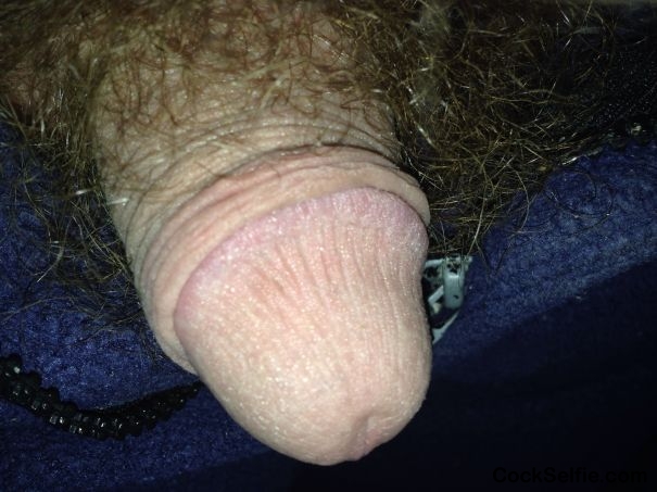  - Cock Selfie