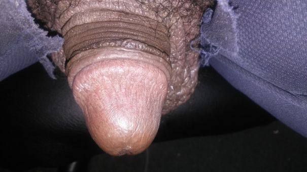  - Cock Selfie