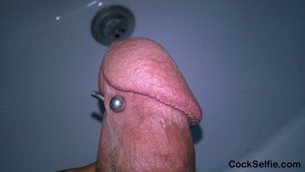 do you like it girls? - Cock Selfie