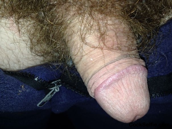  - Cock Selfie