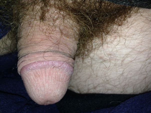  - Cock Selfie