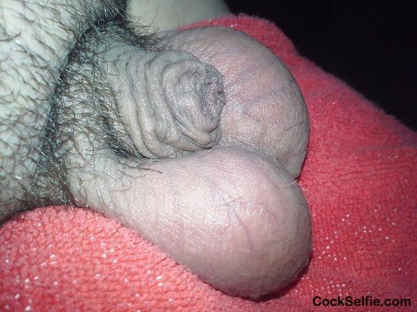 tiny dick - Cock Selfie