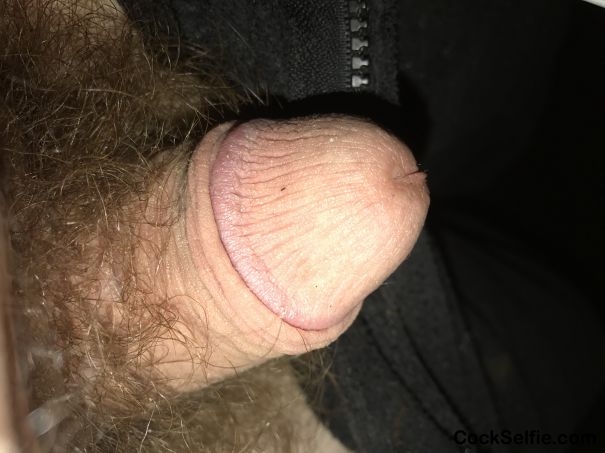  - Cock Selfie