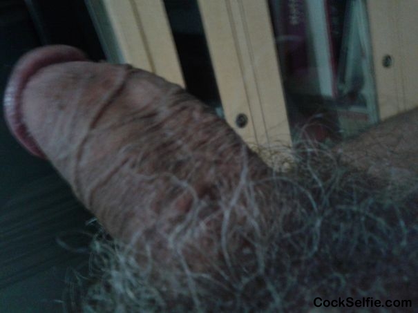 my erect cock. - Cock Selfie