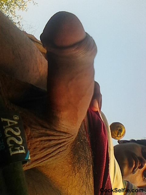 Indian cock - Cock Selfie