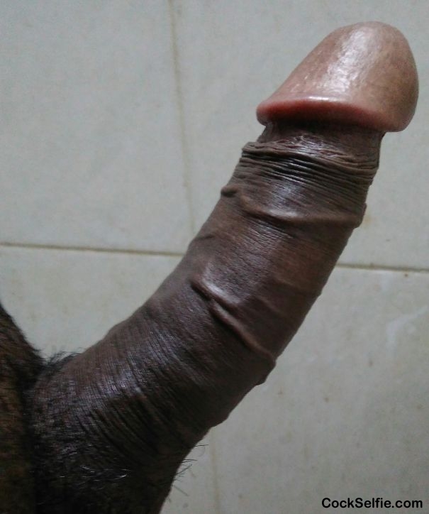  - Cock Selfie