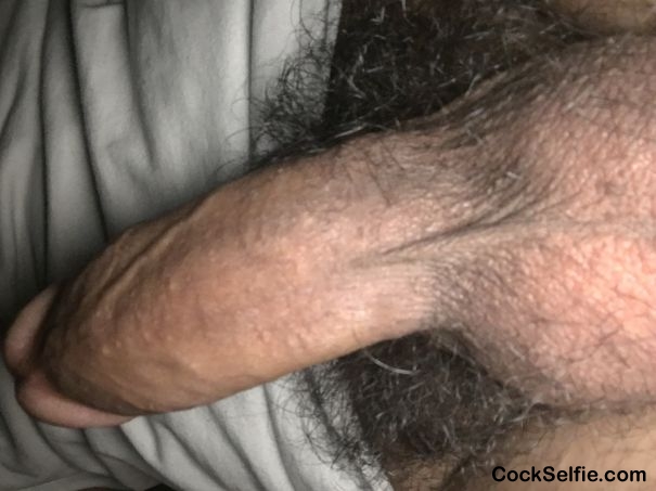 Comment - Cock Selfie