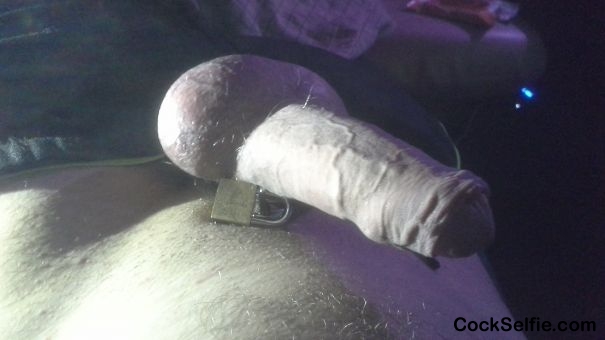  - Cock Selfie