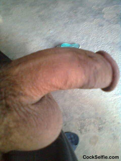  - Cock Selfie