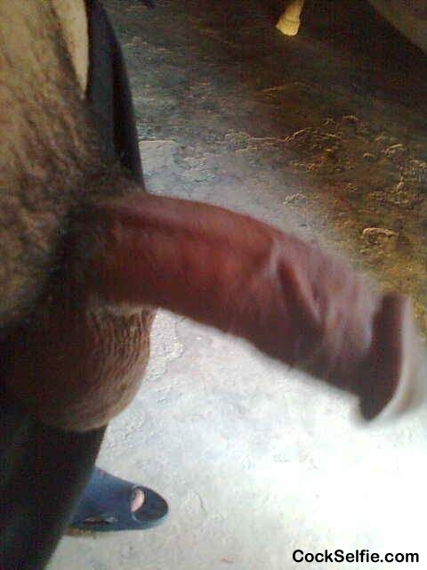  - Cock Selfie