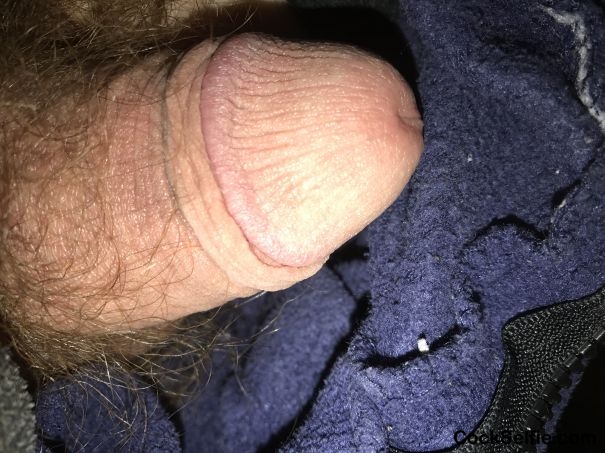  - Cock Selfie