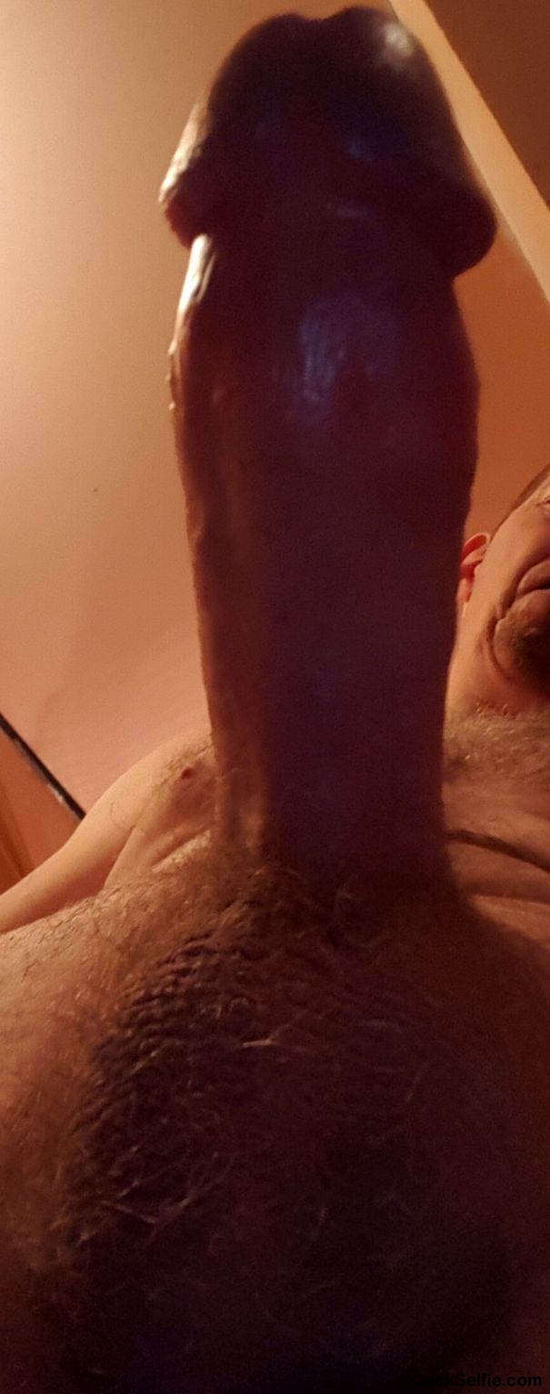 Bbws wanted!!!!! - Cock Selfie